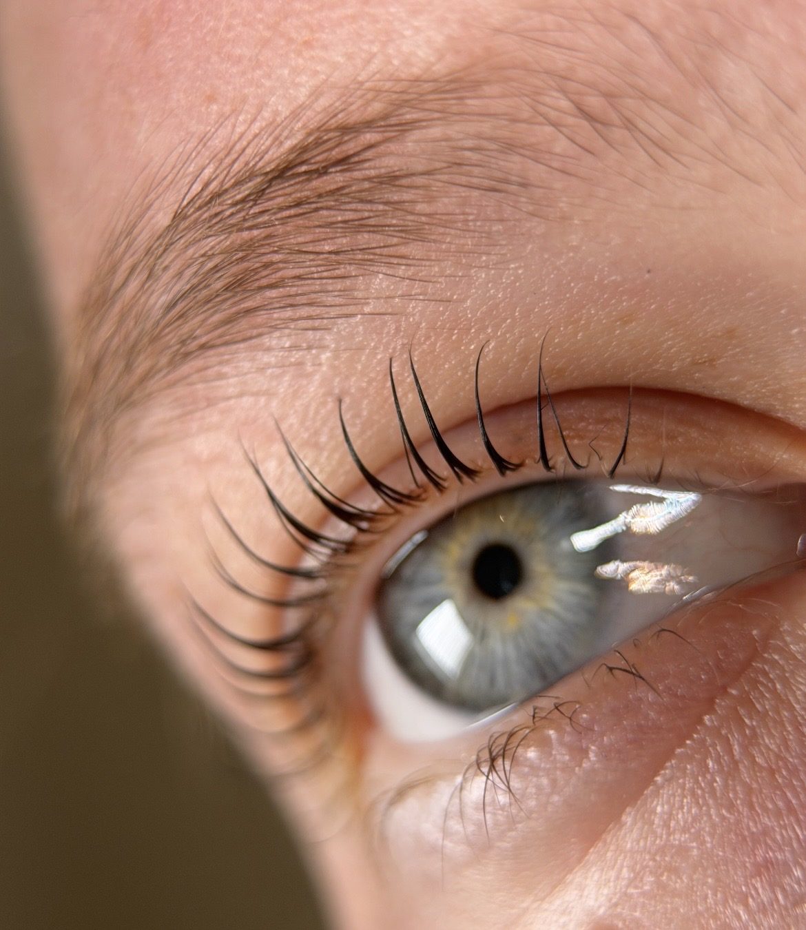 Close-up van een oog met gelifte, gekrulde wimpers na een lash lift